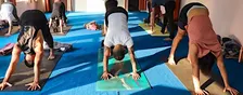 Hot Vinyasa Yoga