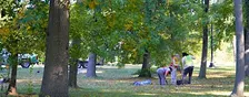 Community Tree Planting: Rock Creek Cemetery