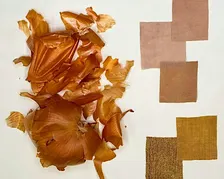 Toronto Foodways: Natural Dyeing