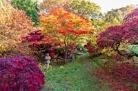 AUTUMN SIP & PAINT ART CLASS WORKSHOP