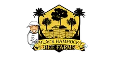 Beginning Beekeeping Class at the Bee Farm