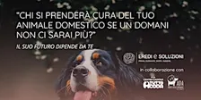 Oltre il presente - Chi si prenderà cura del tuo animale domestico?