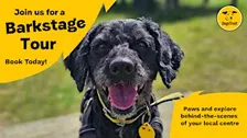 Barkstage Pass Tour