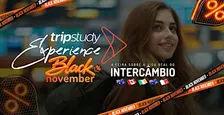 Trip Study Experience - Black November