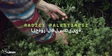 Radici palestinesi - turno pomeridiano
