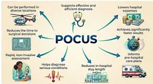 POCUS | 11 noiembrie 2026