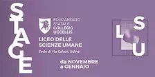 Liceo delle Scienze Umane - sede Via Cairoli - STAGE 2026