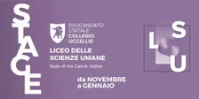 Liceo delle Scienze Umane - sede Via Cairoli - STAGE 2026