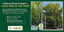 Celebrate Waterloo Region's Tree of the Year 2026!