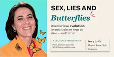 Sex, Lies & Butterflies: An Evolutionary Biology lecture over drinks!