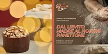 Dal lievito madre al nostro panettone