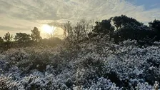 Youth Action Day - Volunteer with Heathlands Reunited at Ludshott Common