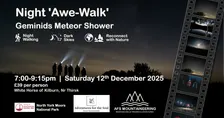 Geminids Meteor Shower: A Magical Night Awe-Walk