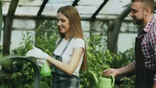 Huerto Roma Verde - Volunteering