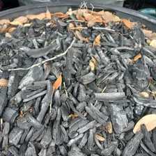Backyard Biochar: Build Your Garden Soil with a Simple Amendment