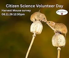 Wildlife Rangers Harvest Mouse Survey