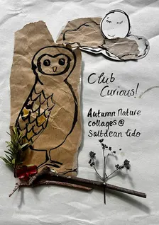 Club Curious: Autumn Nature Collages - Fri 30th Oct, 12:45
