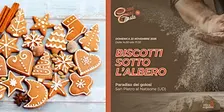 Biscotti sotto l'albero