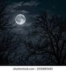 The Ultimate Dark & Mystery Horror Night
