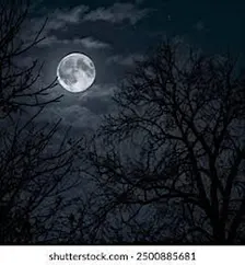 The Ultimate Dark & Mystery Horror Night