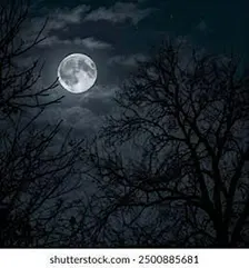 The Ultimate Dark & Mystery Horror Night