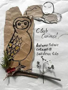 Club Curious: Autumn Nature Collages - Wed 28 Oct, 1:15