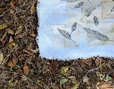 Exposición El Legado: Un viaje a través del arte, la botánica y la memoria