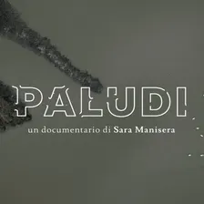 Paludi – La natura più bistrattata e preziosa d’Italia