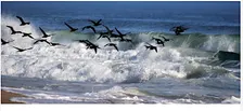 UN VIAGGIO NELLA MALATTIA DI HUNTINGTON