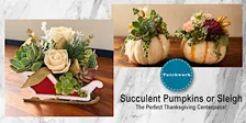 Patchworks Presents Pumpkins, Sleighs & Succulents!
