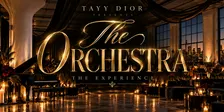 The Orchestra