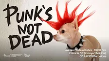 Punk is not dead  - sesión de cortometrajes