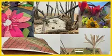 KIDS - Inspired by Nature Workshop