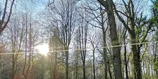Nature Reserve Work Party - Queenswood - Ride Clearance: Raking and Tidying