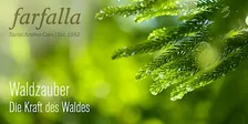Waldzauber – die Kraft des Waldes / Basel(*bs)