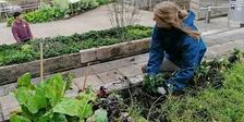 Tyfu Tawe/Gardening Sessions - Swansea Singleton Campus