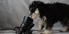 Gratis fotoshoot - Kersteditie