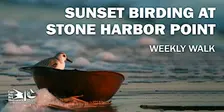 Sunset Birding at Stone Harbor Point