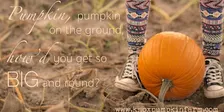 Fall Harvest Tickets 2026