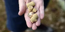 Crinoid Fossil Bed Hike