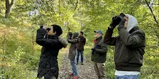 2026 Fall Bird Walk