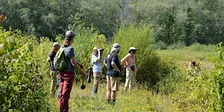 Northfork Habitat Hike