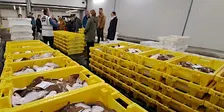 Rondleiding Visafslag IJmuiden