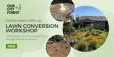 DIY Lawn Conversion Workshop