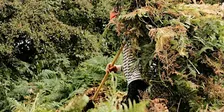 Wilder Wardens at NWT Sweet Briar Marshes