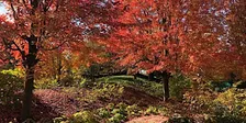 Fall colors and harvest Workshop!