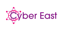 Cyber East Bite-sized, Norwich
