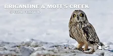 Brigantine and Mott's Creek