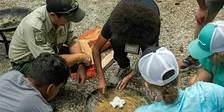 Survival Skills