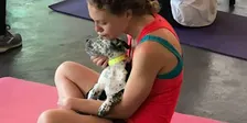 Doggy Noses & Yoga Poses at Connecticut Valley Brewing Company